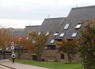 Stag Hill Court
