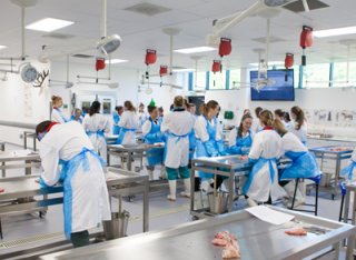 A group of vet students are conducting dissections in the pathology laboratory