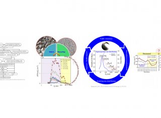 Co-pollutants graphs