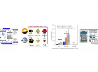 Natural environment graphs