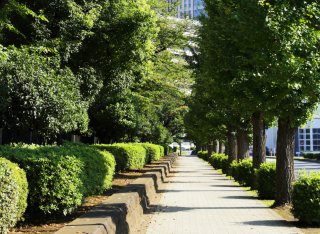 Green_infrastructure