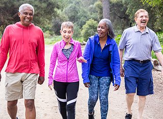 A group of older people are walking through a park on a sunny day.