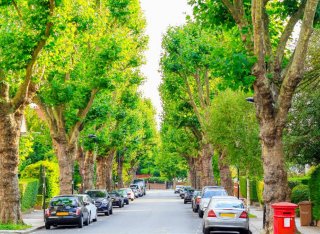 Cars parked on a street