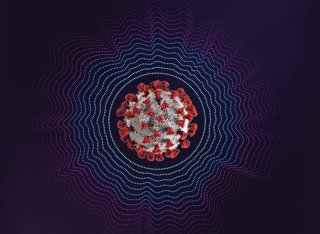The soundwaves of a virus