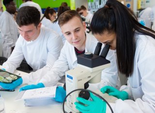 Students using a microscope