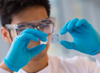 Student looking at sample on glass slide