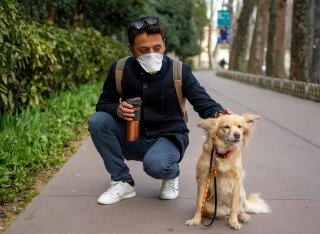 Man crouching down, stroking his dog.