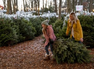 Mother and daughter choosing their Christmas tree