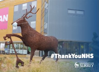 Stag sculpture wearing a face mask with overlaid text saying '#ThankYouNHS'