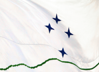Mercosur flag