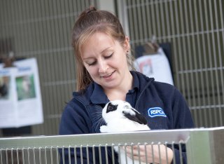 Woman holding a black and white rabbit