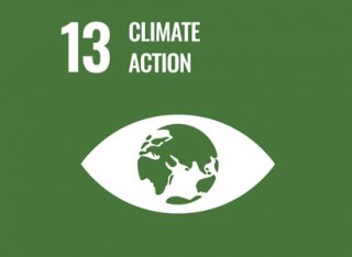 UN Sustainability Goal 13 logo, climate action.