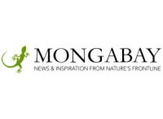 Mongabay1