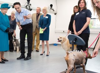 Her Majesty The Queen with 'Supervet' Noel Fitzpatrick