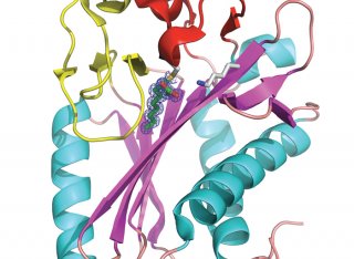 Characterizing the structure, function and drugability of tuberculosis proteins