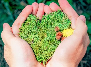 hands holding green moss