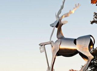 Stag statue on Stag Hill campus