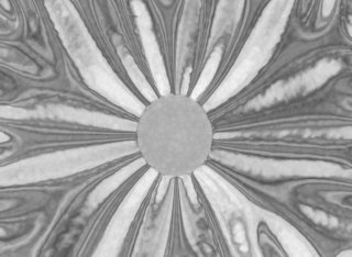 Grey, flower-like image of silicon under strain