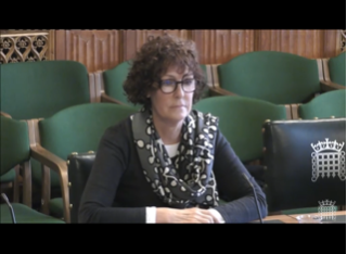 Professor Carol Woodhams giving evidence to the Health and Social Care Select Committee