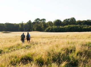 nature_walks