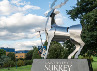 University of Surrey stag