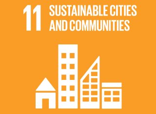 Sustainable Development Goal 11 logo