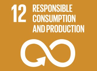 Sustainable Development Goal 12 logo
