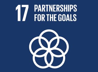 Sustainable Development Goal 17 logo