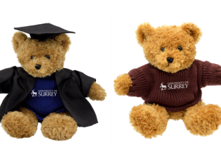 Two University branded teddy bears