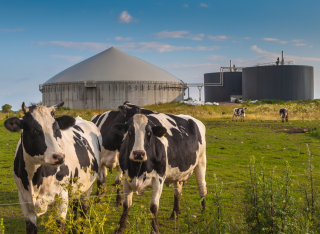 Biogas Getty