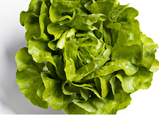 Lettuce GETTY