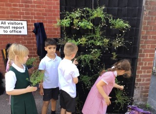 School children plant the living gate