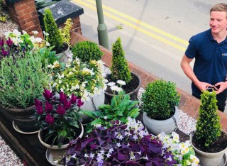 Guildford in Bloom 2018 Student Entry