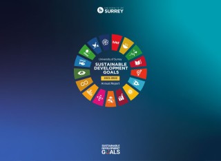 Front cover of SDG report
