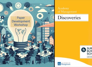 Academy of Management Discoveries Paper Development Workshop