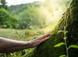 Connecting with nature