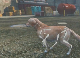 3d model of a dog produced in Grand Theft Auto