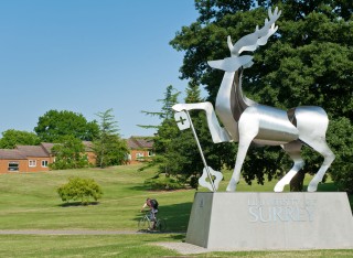 Photograph of the Surrey Stag statue on campus