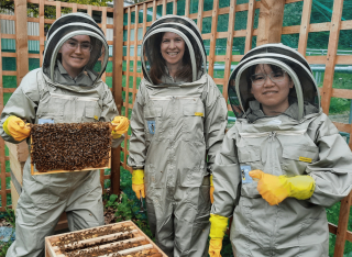 Three people in beekeeper suits. They are standing by a beehive. One is holding a panel covered in bees. 