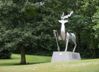 Stag Hill