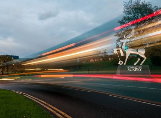 Stag statue at night