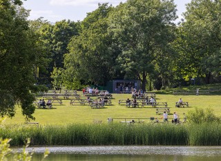 View of benches across the lake