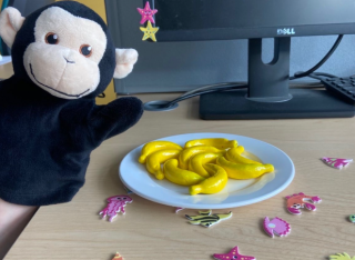 Image of Mister Monkey and the banana props used in testing