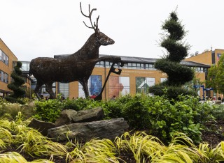 The stag sculpture