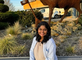 Aneesha profile image