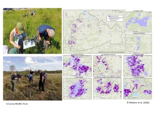 Compilation of citizen scientists in the fields and maps of Surrey