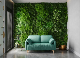 Turquoise colour sofa in front of a wall of plants 