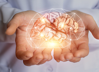 concept of brain held in two hands representing the brain research