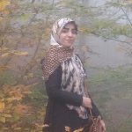 Elaheh Kalantari profile image
