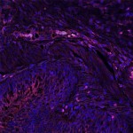 912.24 20x2 top hat edited mergedonly